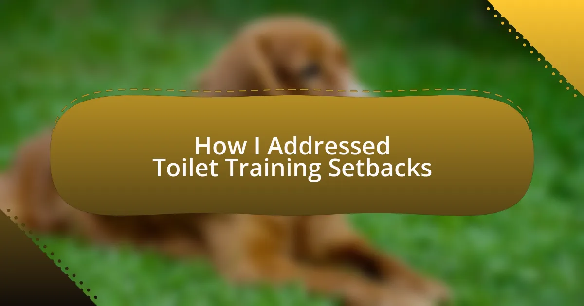 How I Addressed Toilet Training Setbacks