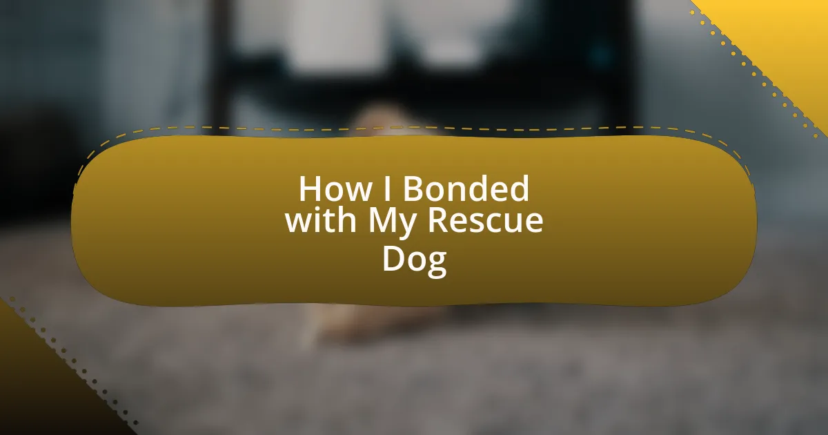 How I Bonded with My Rescue Dog