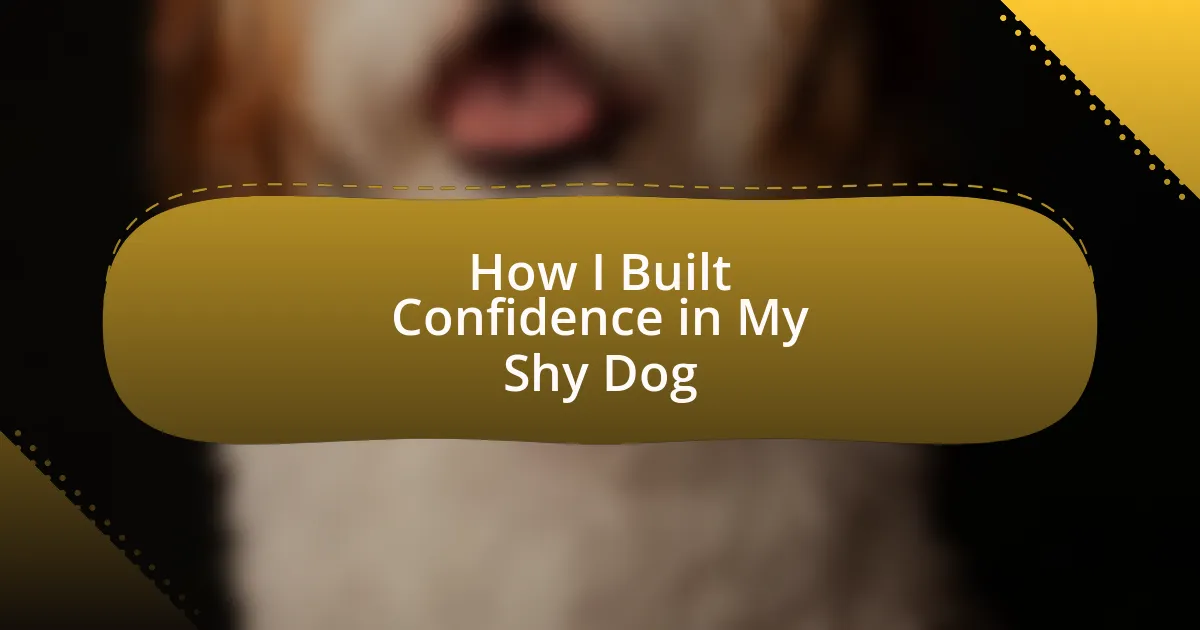 How I Built Confidence in My Shy Dog