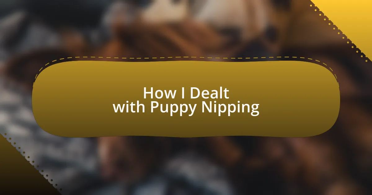 How I Dealt with Puppy Nipping