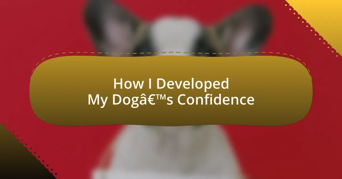 How I Developed My Dog’s Confidence