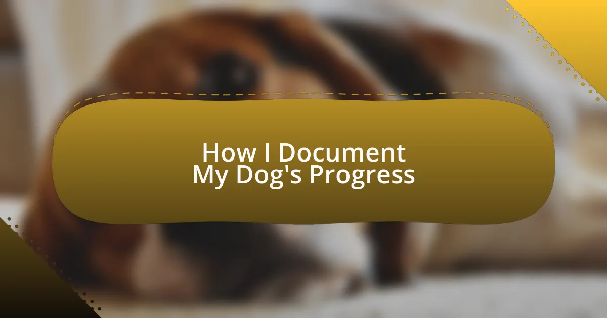 How I Document My Dog’s Progress