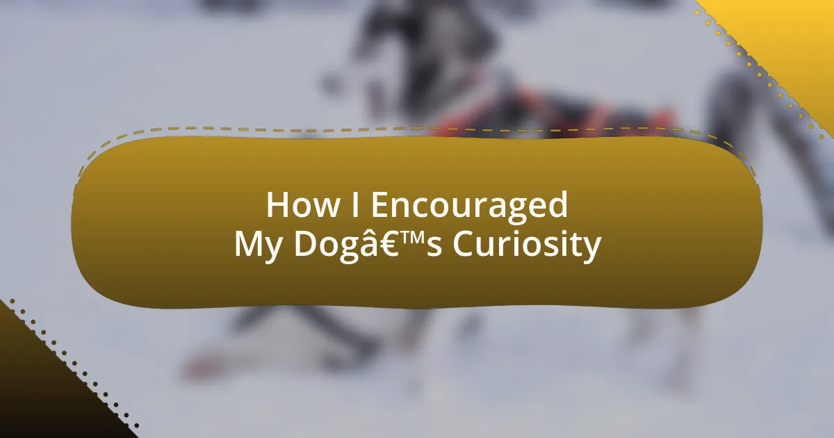 How I Encouraged My Dog’s Curiosity