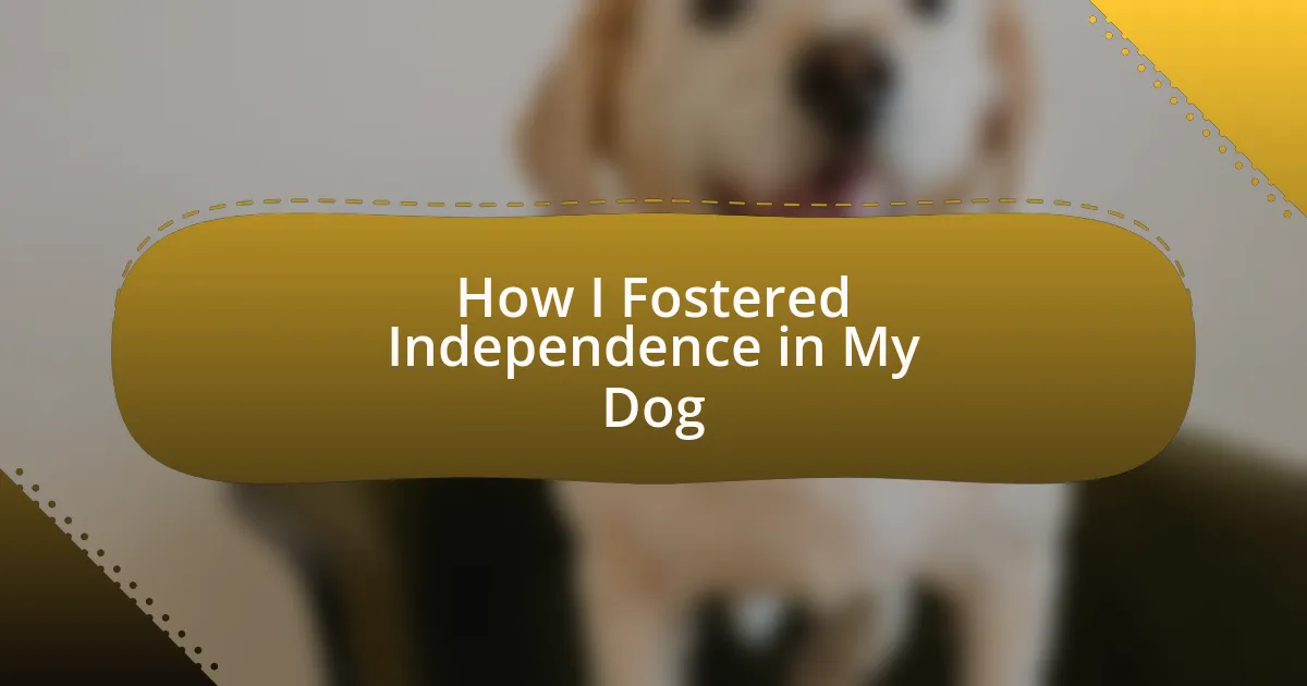 How I Fostered Independence in My Dog