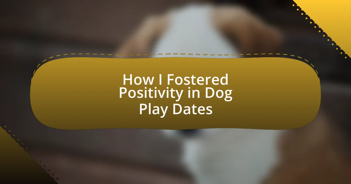 How I Fostered Positivity in Dog Play Dates