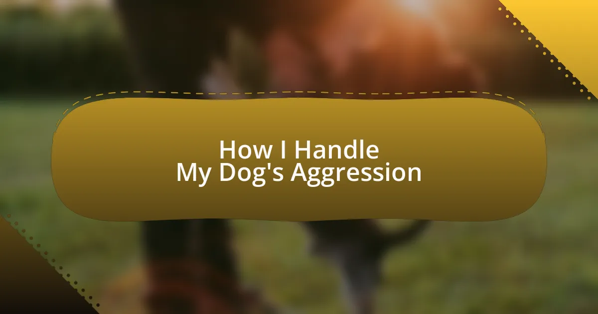 How I Handle My Dog’s Aggression