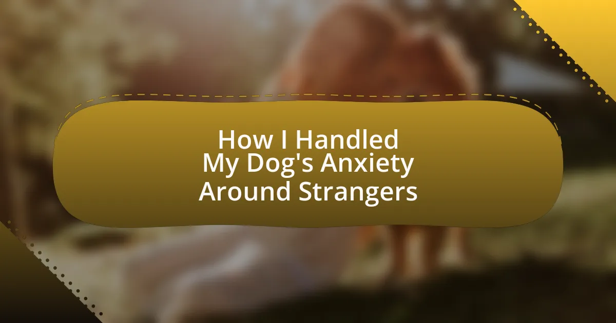 How I Handled My Dog’s Anxiety Around Strangers