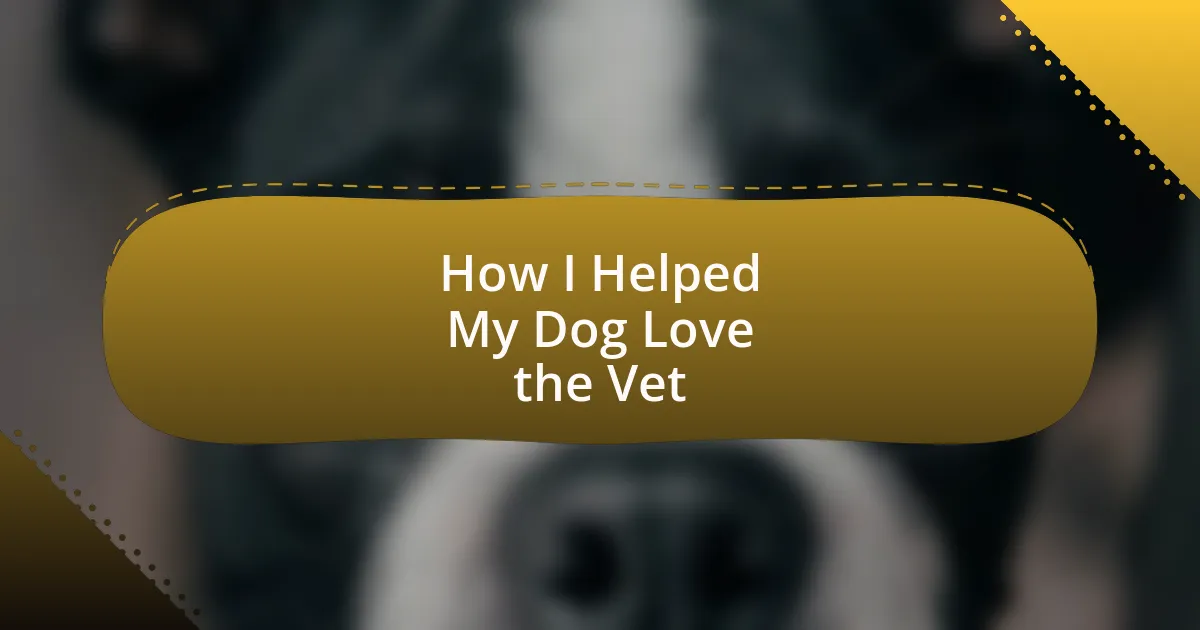 How I Helped My Dog Love the Vet