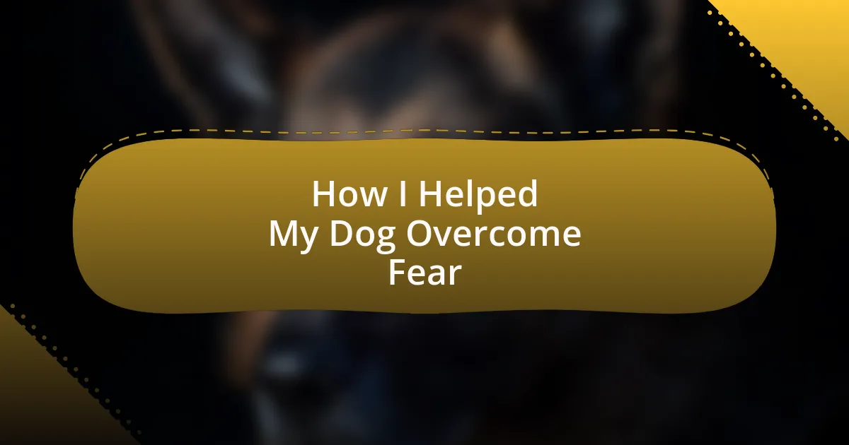 How I Helped My Dog Overcome Fear