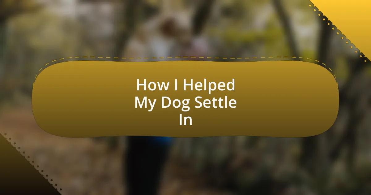 How I Helped My Dog Settle In