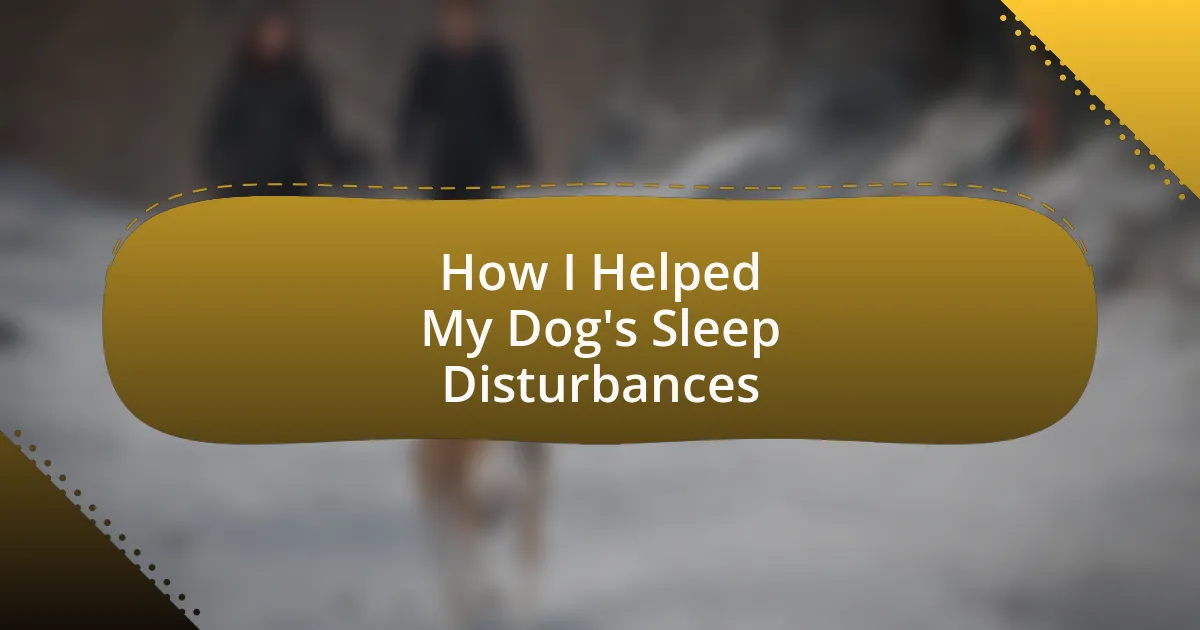 How I Helped My Dog’s Sleep Disturbances