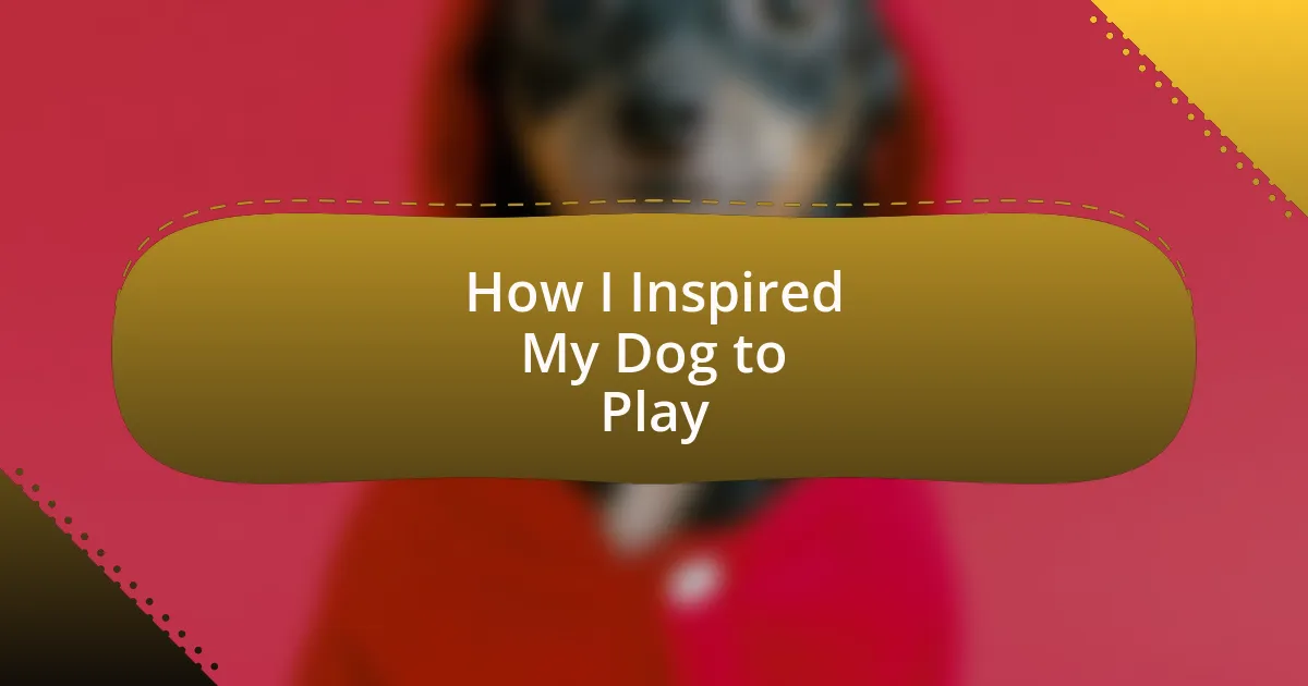 How I Inspired My Dog to Play