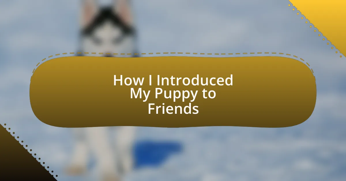 How I Introduced My Puppy to Friends
