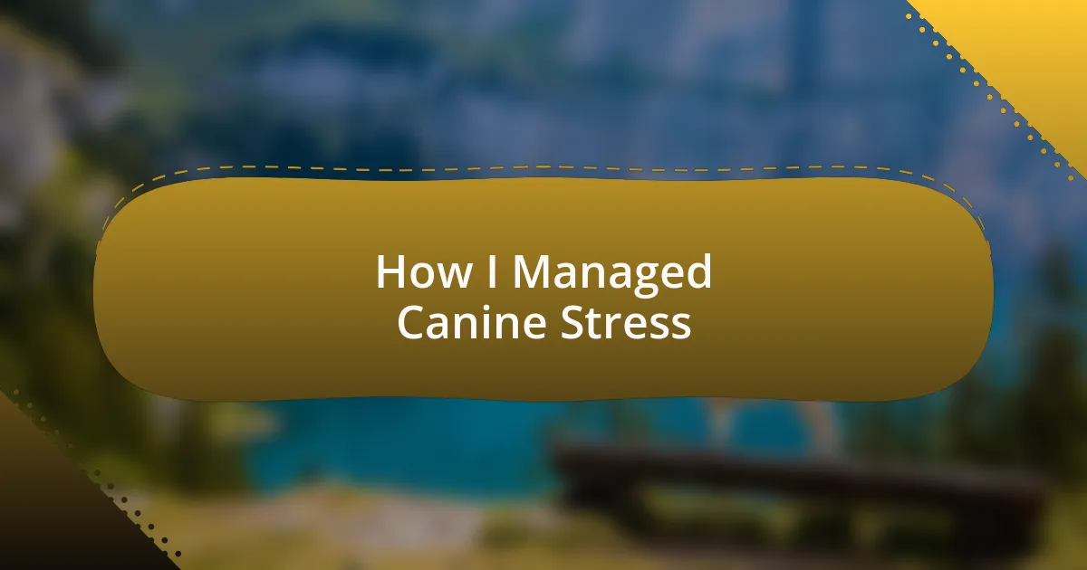 How I Managed Canine Stress