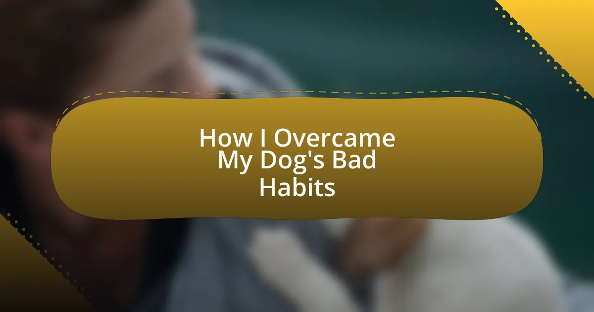How I Overcame My Dog’s Bad Habits