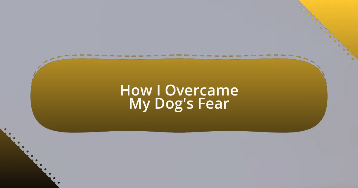 How I Overcame My Dog’s Fear
