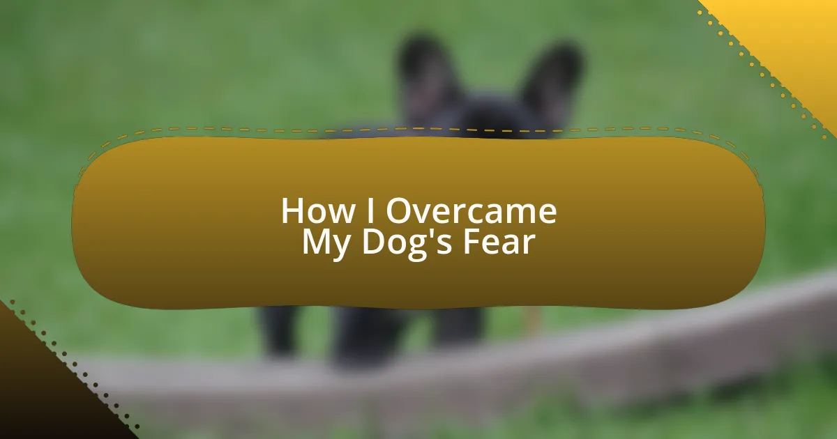 How I Overcame My Dog’s Fear