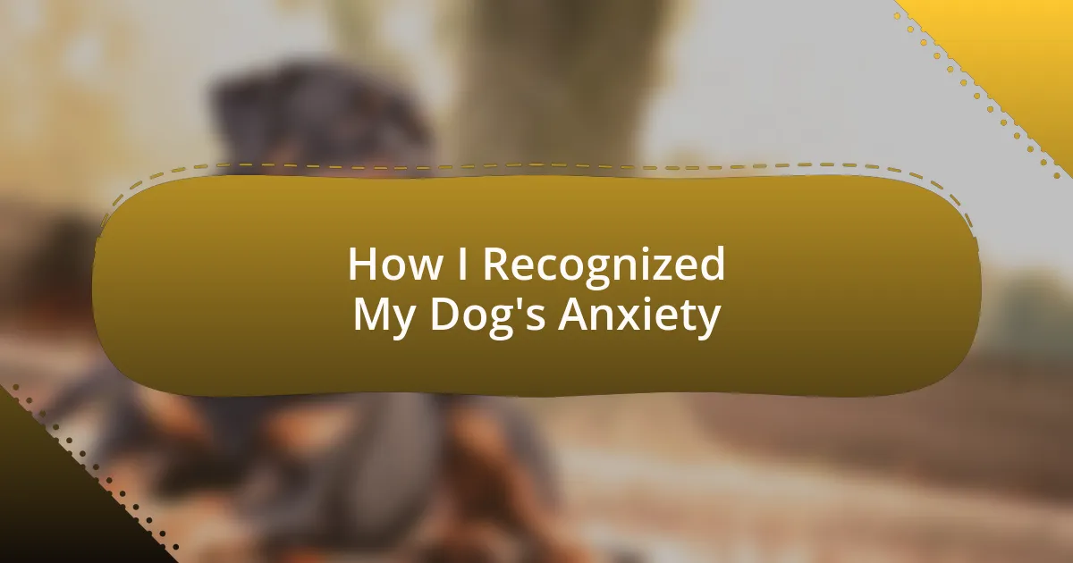 How I Recognized My Dog’s Anxiety