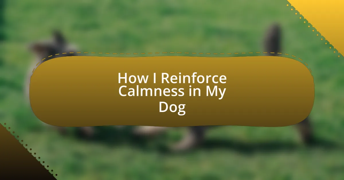 How I Reinforce Calmness in My Dog