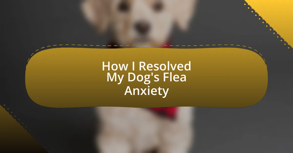 How I Resolved My Dog’s Flea Anxiety
