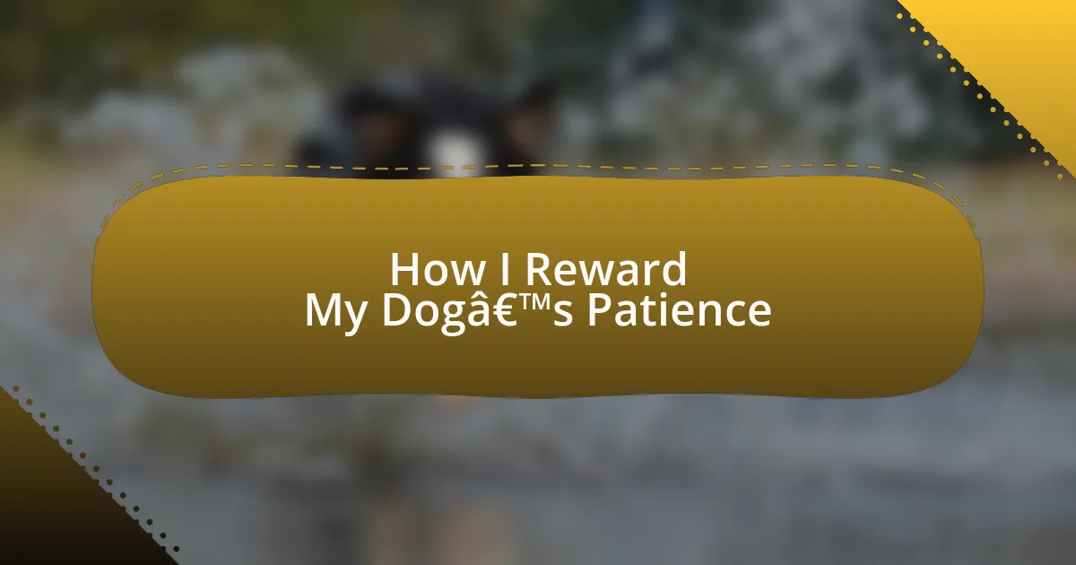How I Reward My Dog’s Patience