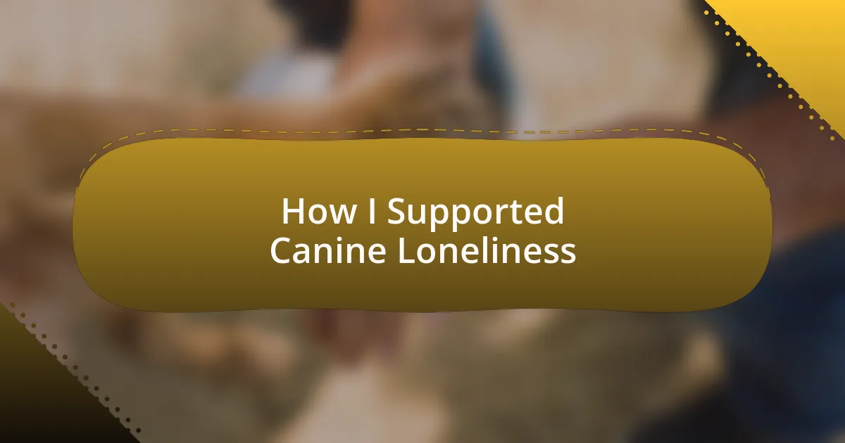 How I Supported Canine Loneliness