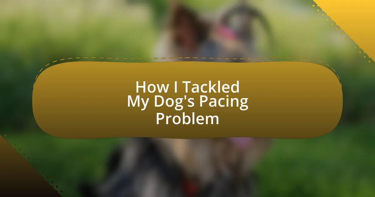 How I Tackled My Dog’s Pacing Problem