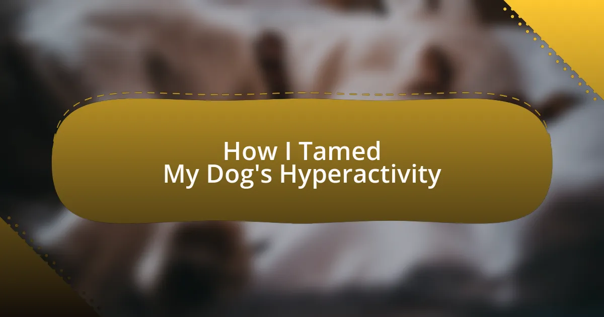 How I Tamed My Dog’s Hyperactivity