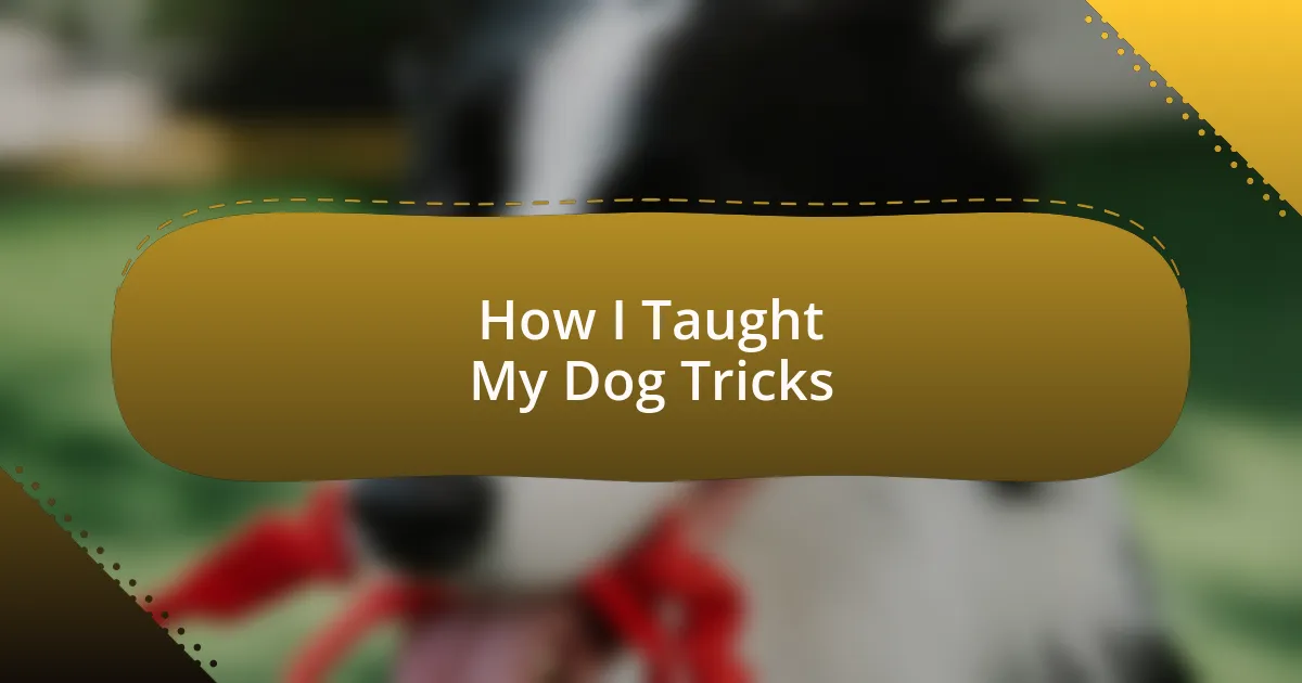 How I Taught My Dog Tricks
