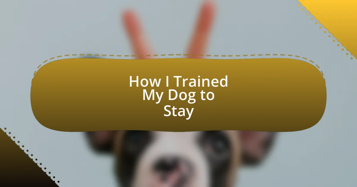 How I Trained My Dog to Stay