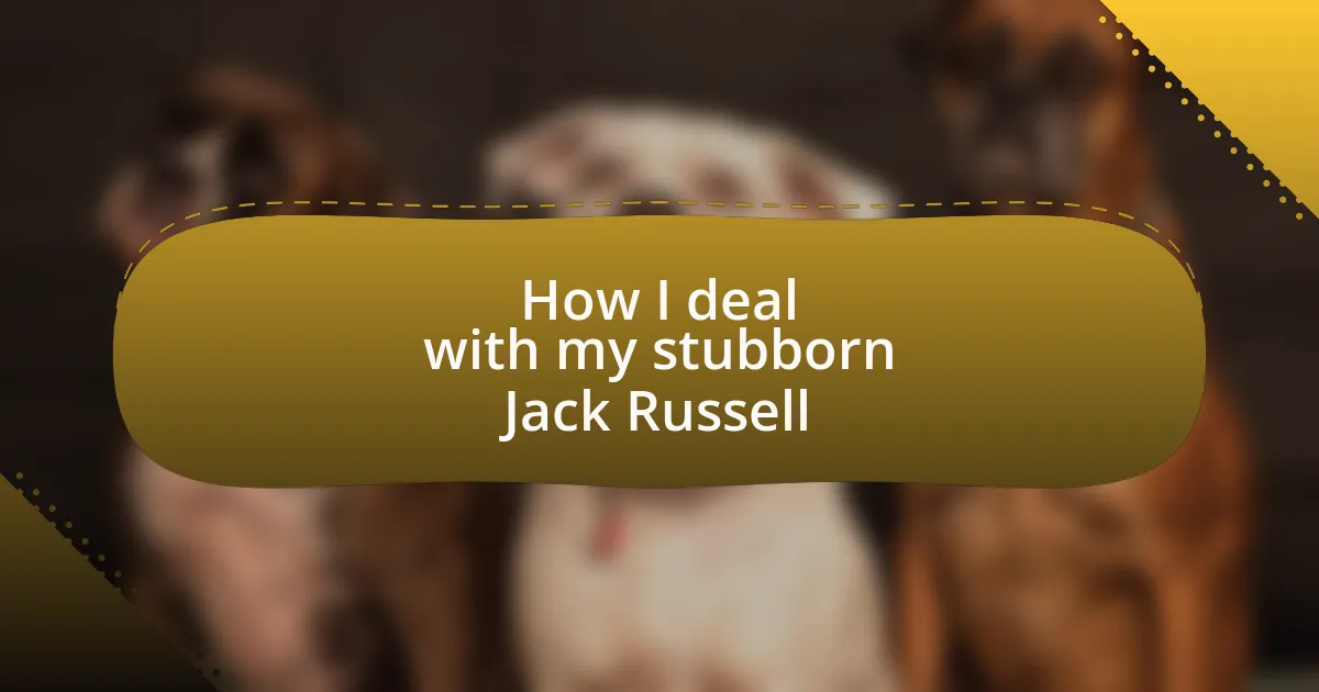 How I deal with my stubborn Jack Russell