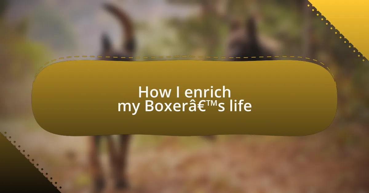 How I enrich my Boxer’s life