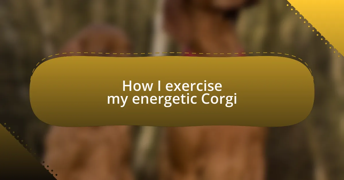 How I exercise my energetic Corgi