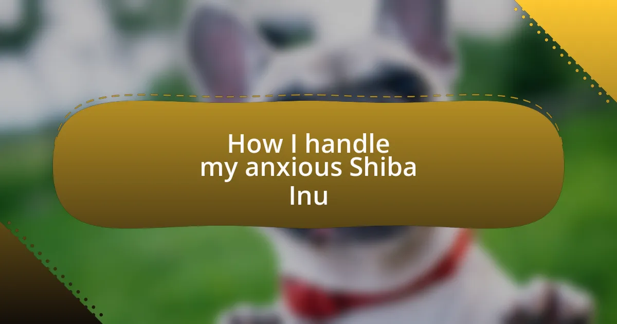 How I handle my anxious Shiba Inu