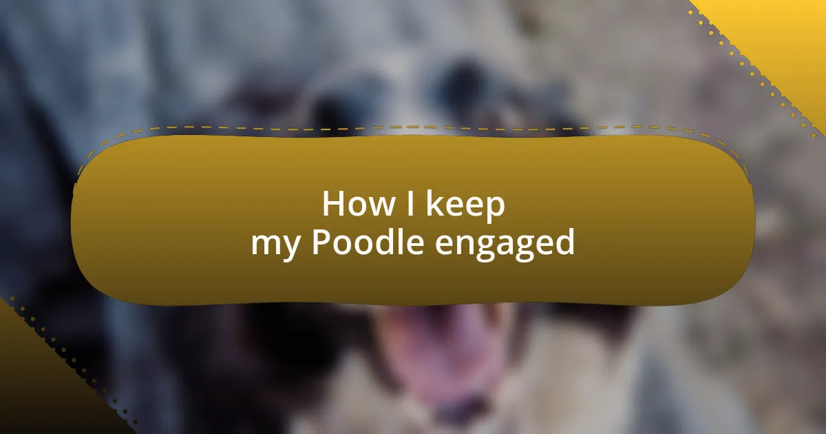 How I keep my Poodle engaged