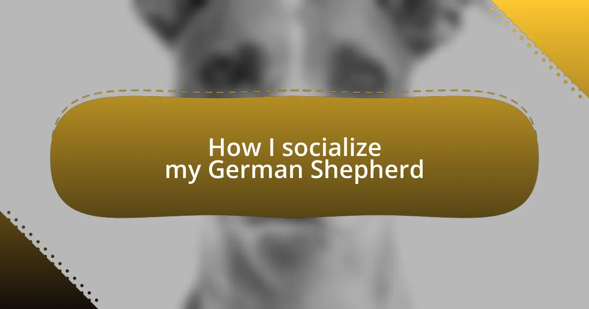 How I socialize my German Shepherd