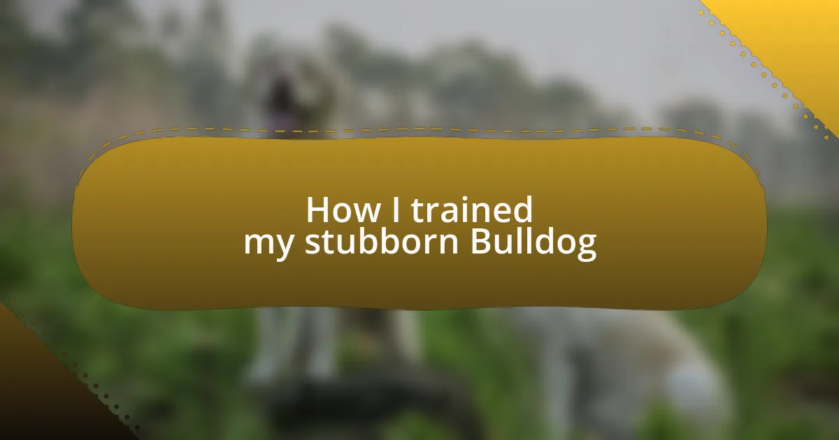 How I trained my stubborn Bulldog