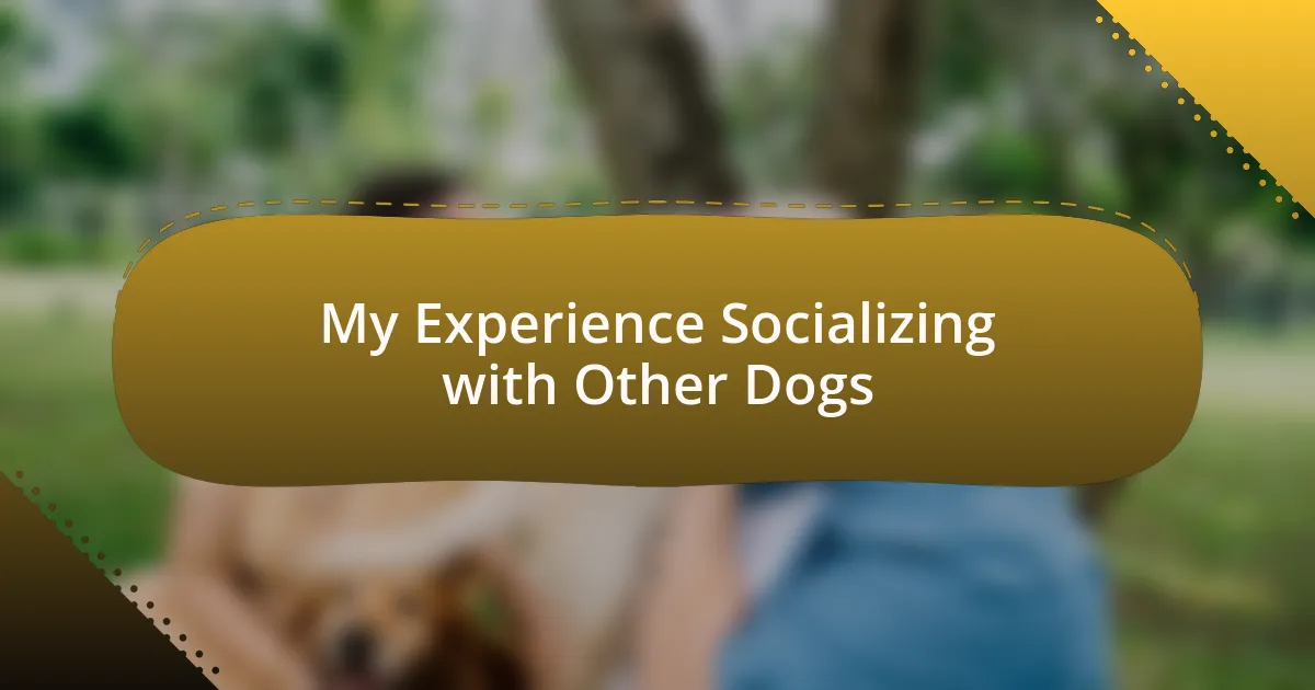 My Experience Socializing with Other Dogs