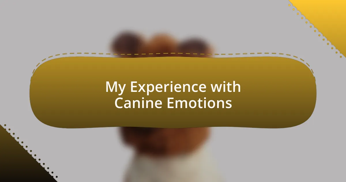 My Experience with Canine Emotions