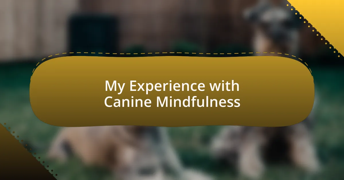 My Experience with Canine Mindfulness