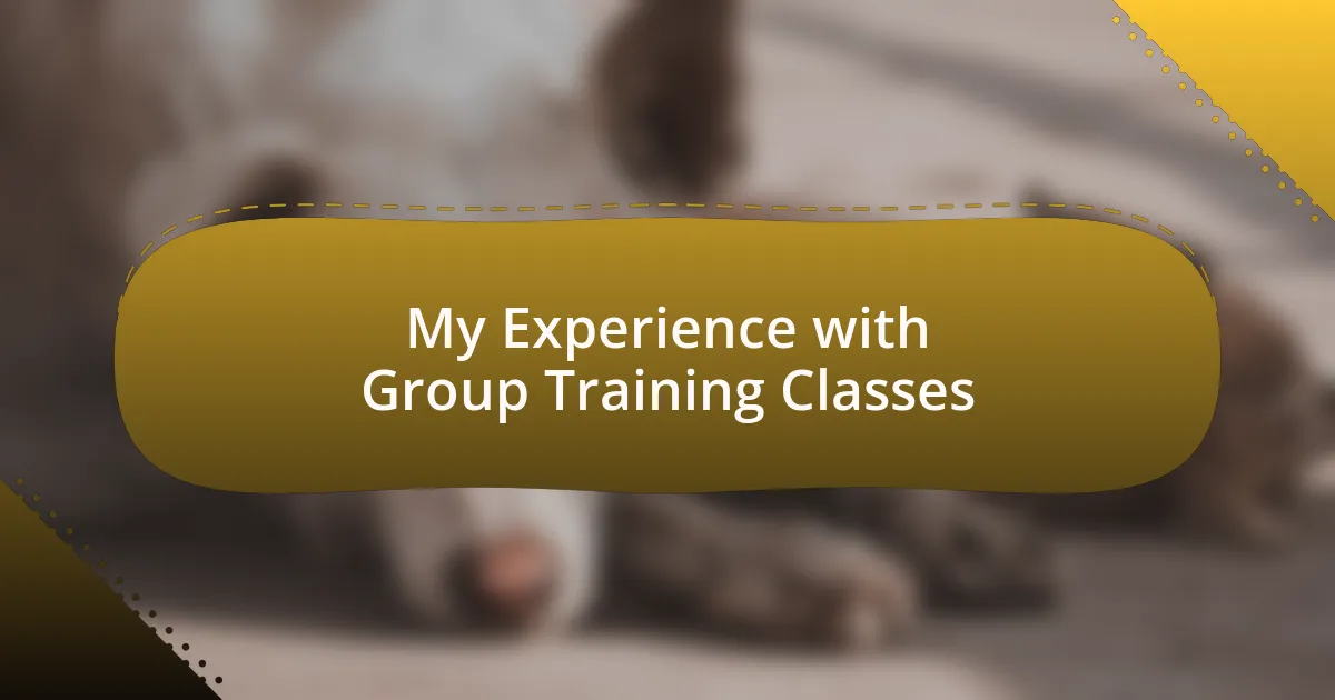 My Experience with Group Training Classes