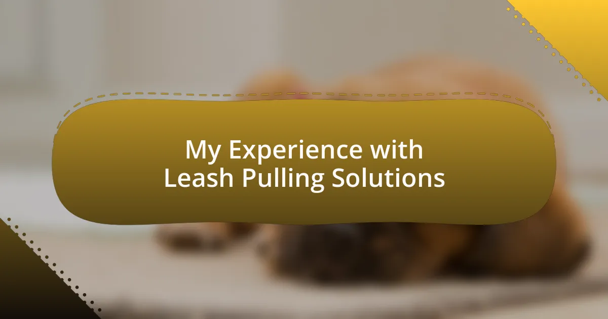 My Experience with Leash Pulling Solutions