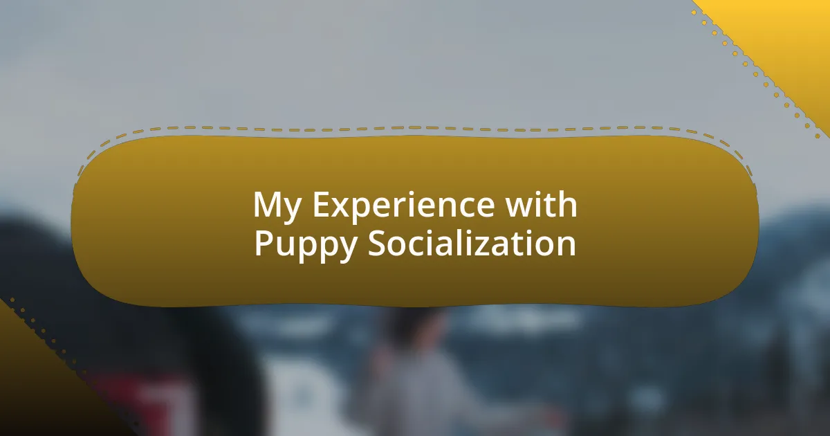 My Experience with Puppy Socialization