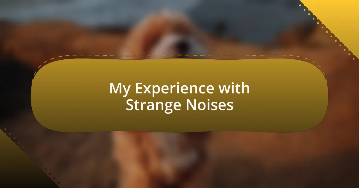 My Experience with Strange Noises