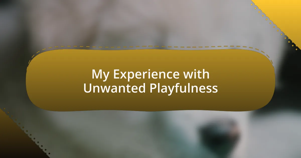My Experience with Unwanted Playfulness