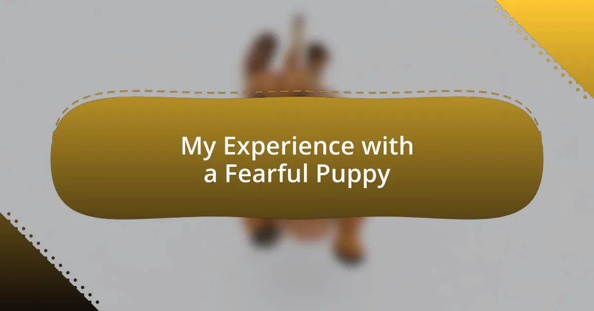 My Experience with a Fearful Puppy