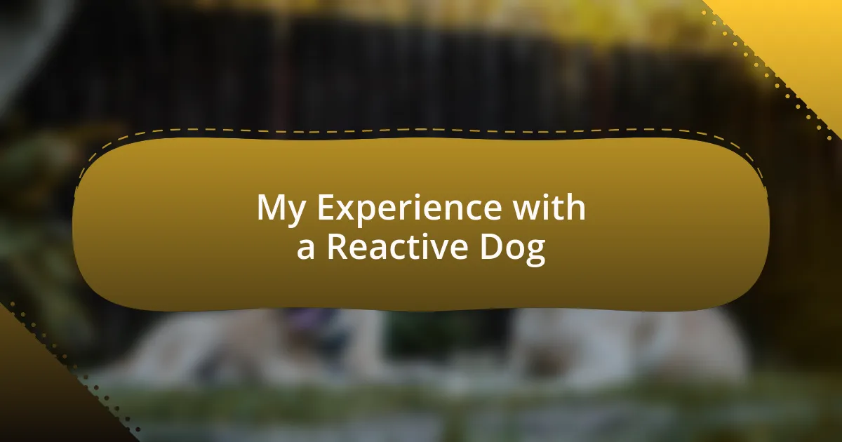 My Experience with a Reactive Dog
