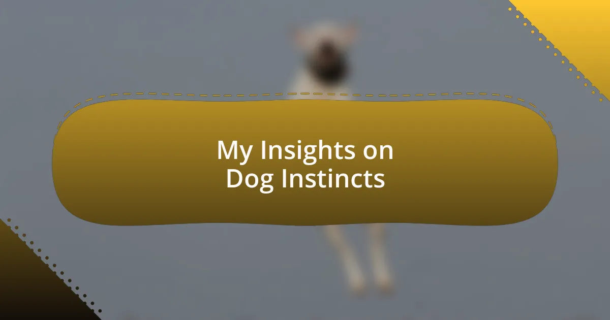 My Insights on Dog Instincts