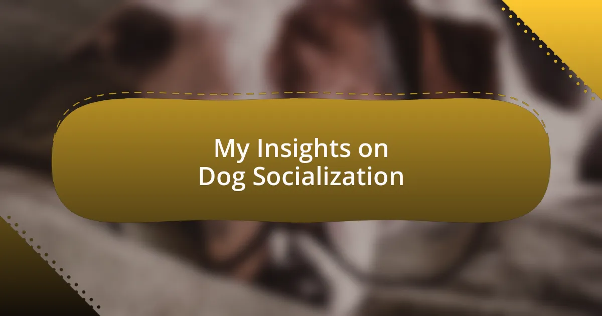 My Insights on Dog Socialization
