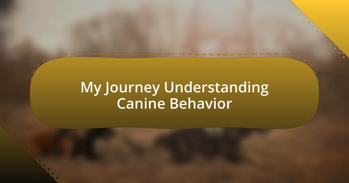 My Journey Understanding Canine Behavior